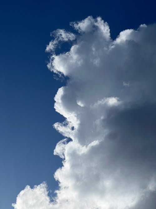 구름 위, 봄, 블루의 무료 스톡 사진