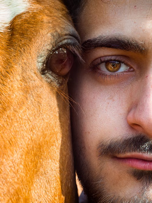 Close-up of a Man Standing Close to a Brown Horse 