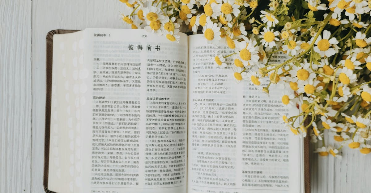 Bunch of Chamomile and an Open Bible in Chinese · Free Stock Photo