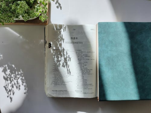 A book with a green cover and a plant on a table
