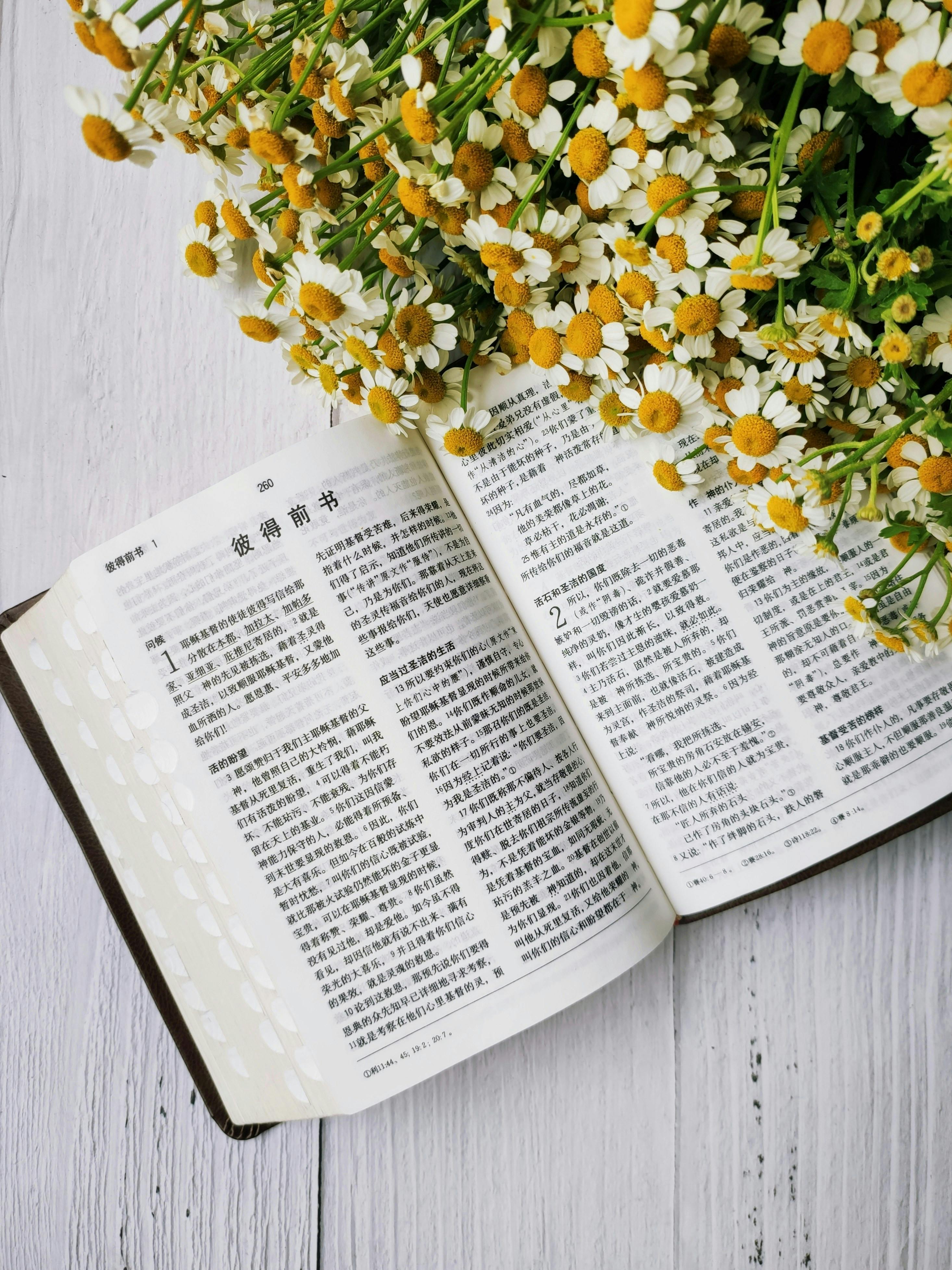 bible in chinese on table by flowers