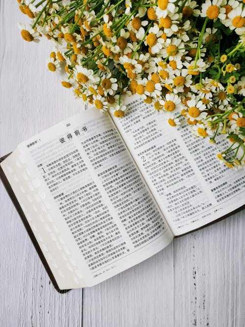 A bible open with flowers on top