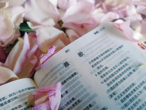A book with chinese writing on it and pink flowers