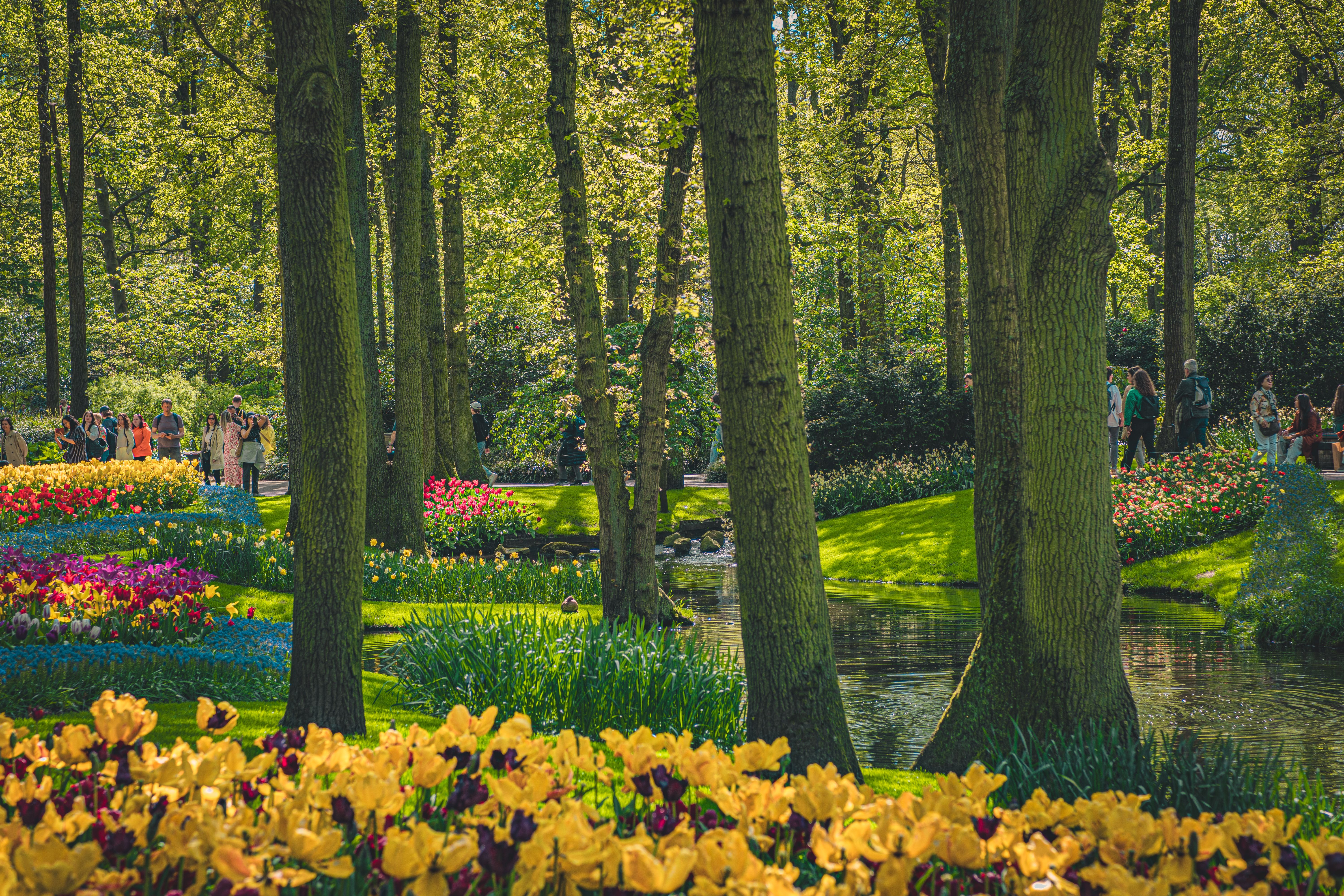 A garden with many colorful flowers and trees · Free Stock Photo