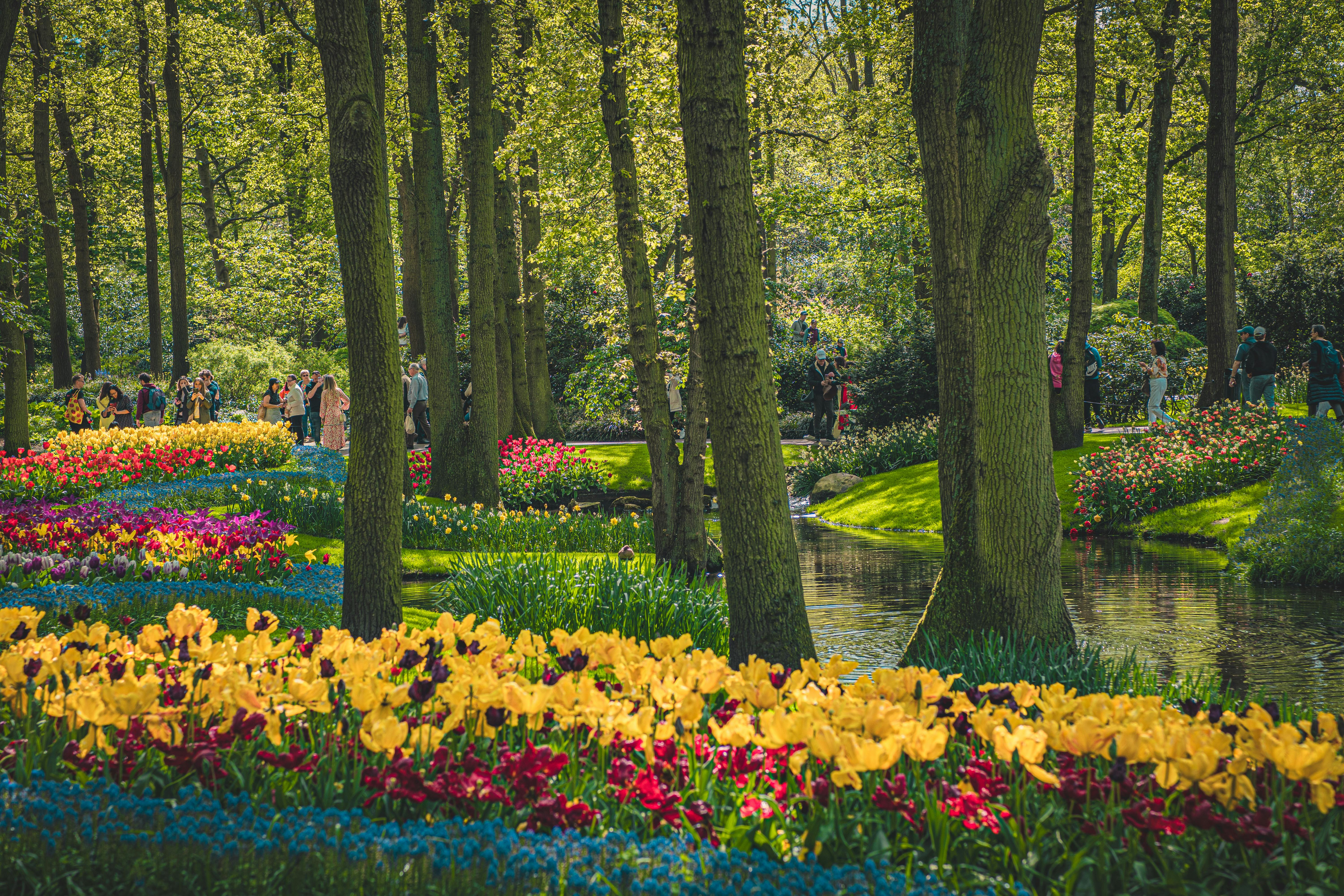 A river with many colorful flowers and trees