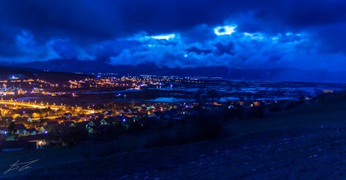 Free stock photo of blue heron, nightlife, panorama