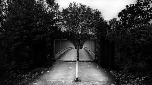 Free stock photo of bay bridge, monochrome photography