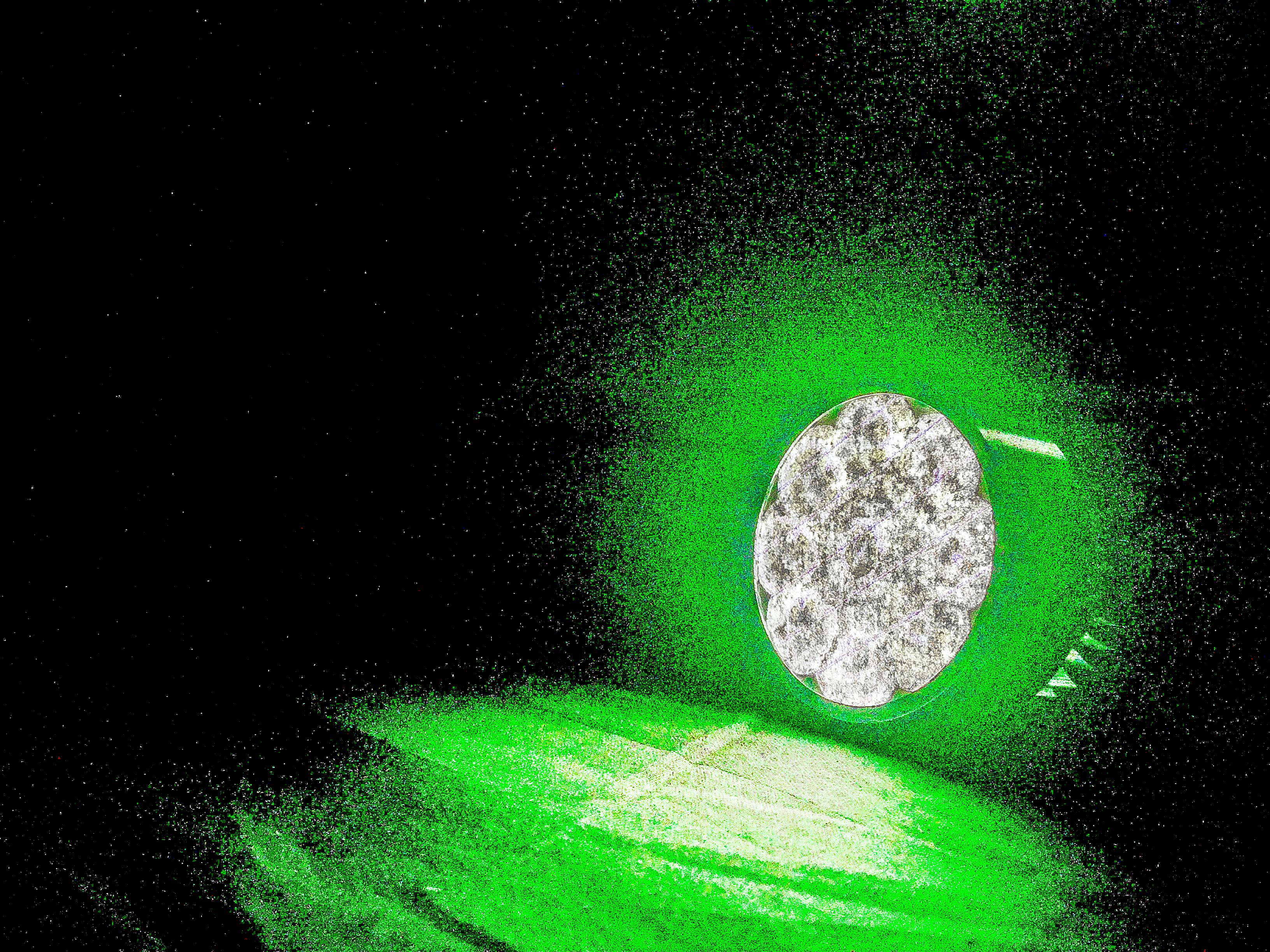 Download Free Stock Photo Of Beer Bottle Dark Dark Green Plants PSD Mockup Templates