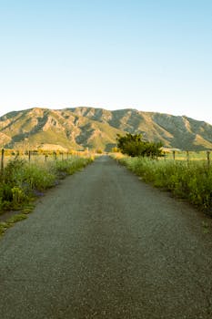 意大利撒丁岛有一条风景如画的乡村公路，一直延伸到山脉