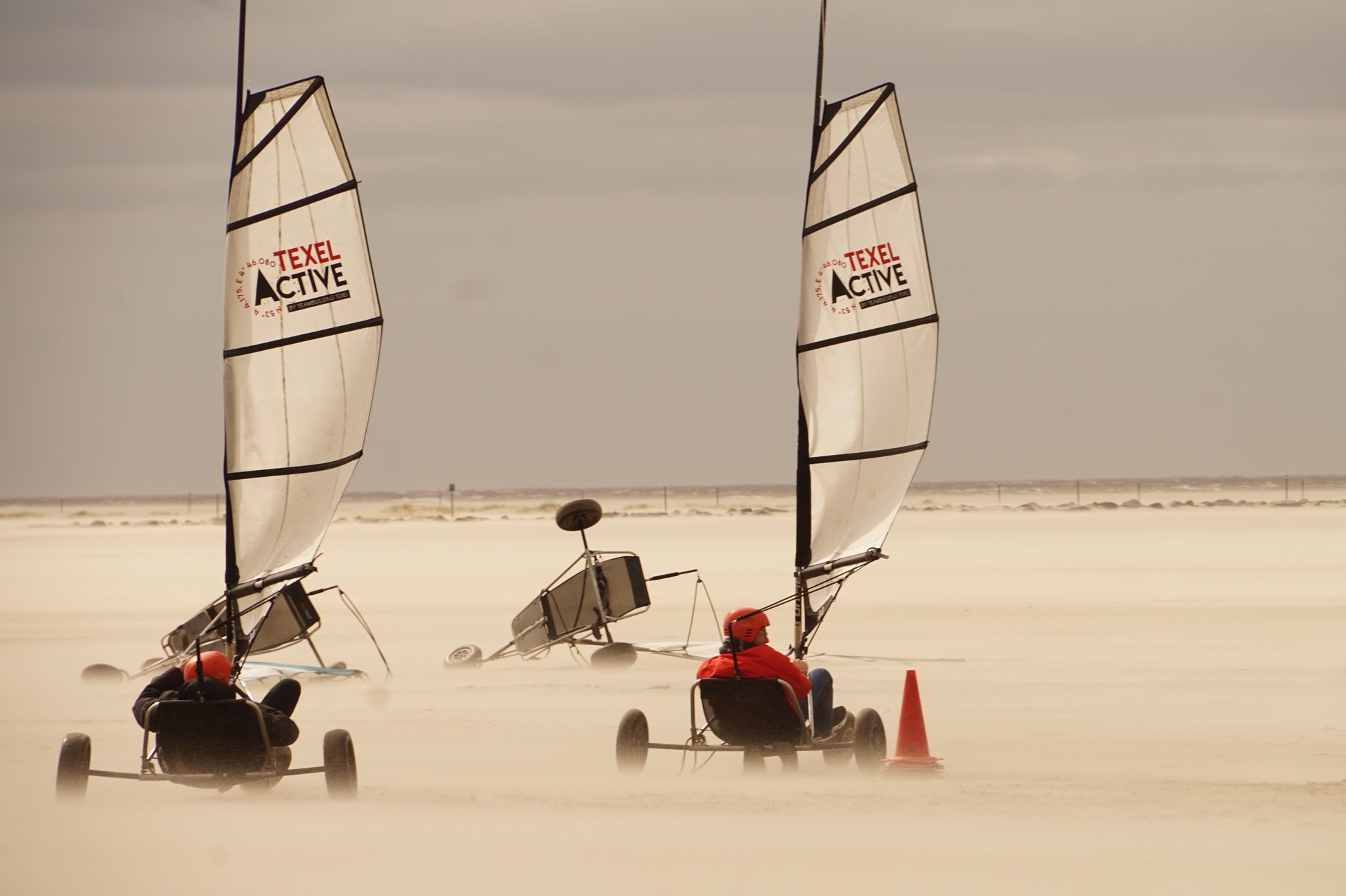 Dertig lelievletjes zeilden om de Oosterscheldebeker
