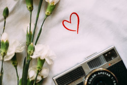 Free stock photo of camera, flower, heart