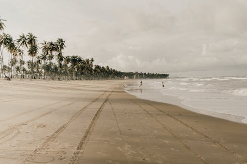 Free stock photo of bali, beach, brasil