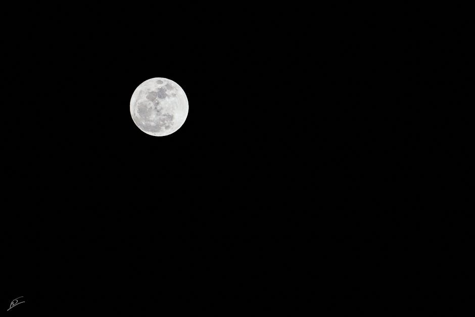 Free stock photo of astrology, black and white, full moon