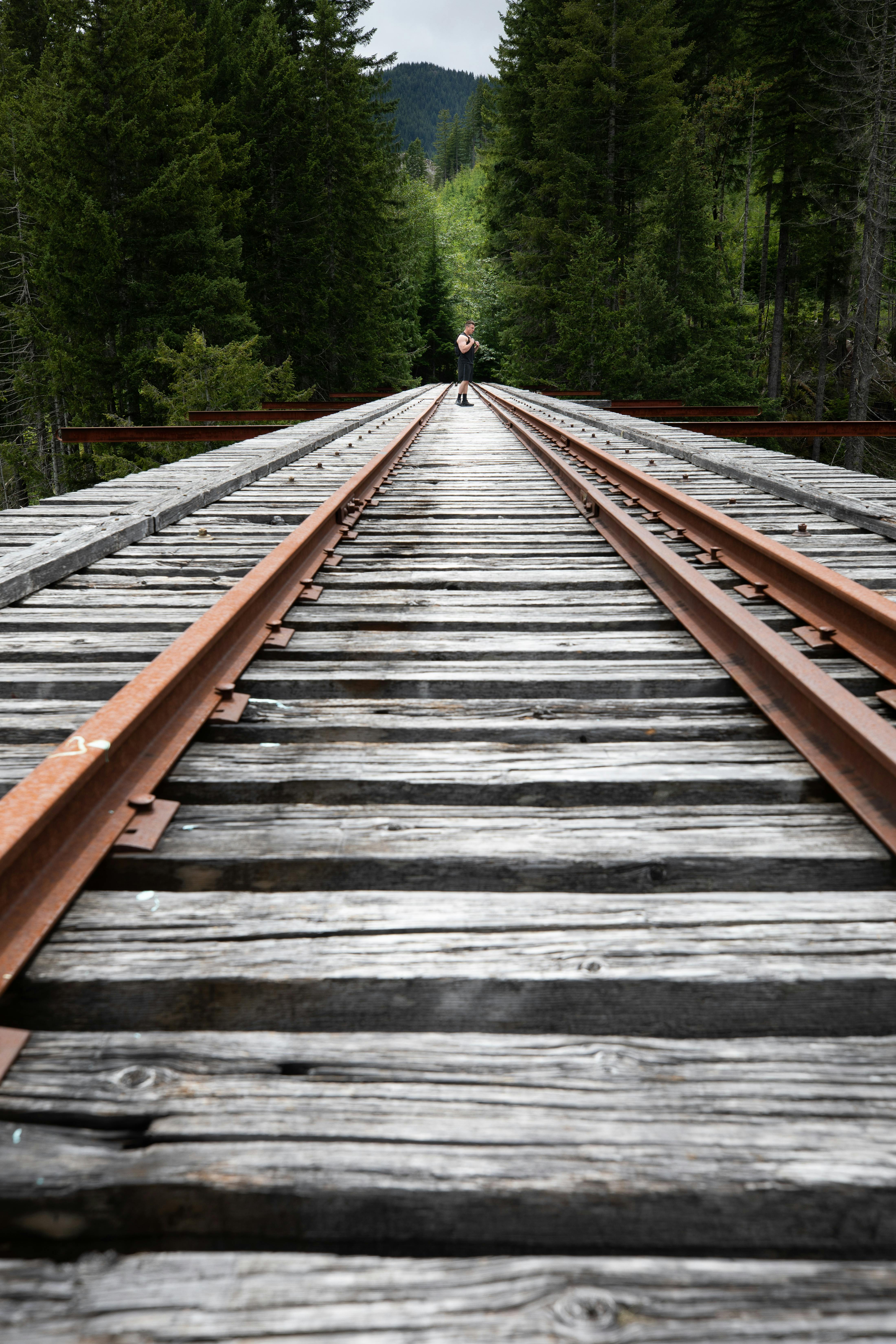 Railway Track Photos, Download The BEST Free Railway Track Stock Photos &  HD Images