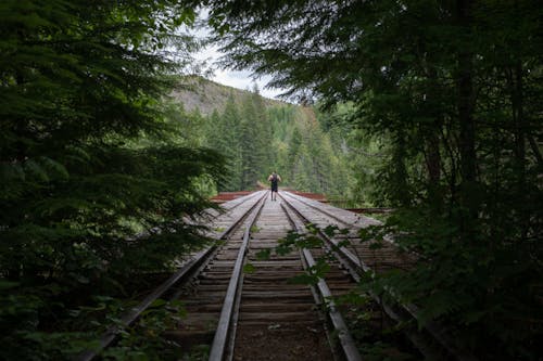 Grijze Trail Rails Tussen Groene Blad Bomen