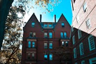 阳光和树木映照下，城市中历史悠久的砖砌建筑立面低角度视图