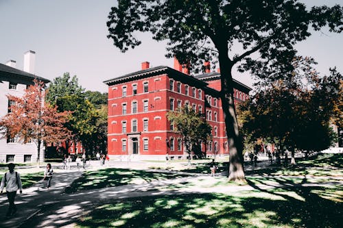 무료 학교 캠퍼스에 빨간색 건물 스톡 사진