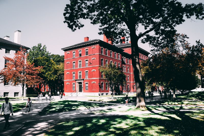 Polish university quad