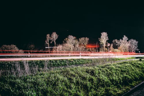 Free Long Exposure Photography of Trees Stock Photo