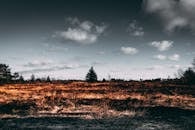 秋天的风景，有戏剧性的天空、焦土般的田野和树木的剪影