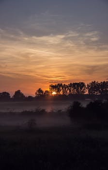 在德国莱茵斯堡，美丽的日落下，薄雾笼罩草地，树木投下剪影