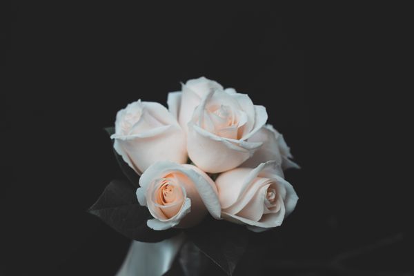 白いバラの花束