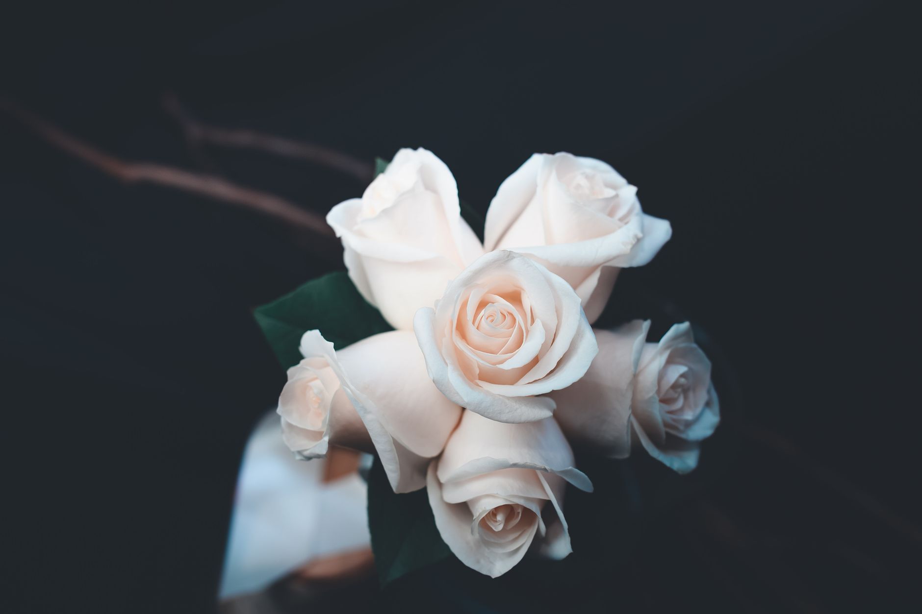 Elegant white rose bouquet, perfect for weddings and special occasions.