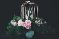 Silver Bird Cage Designed Tealight Holder With Pink Roses