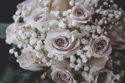 Free Selective Focus Photo of Rose Bouquet Stock Photo