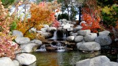 Fall Images