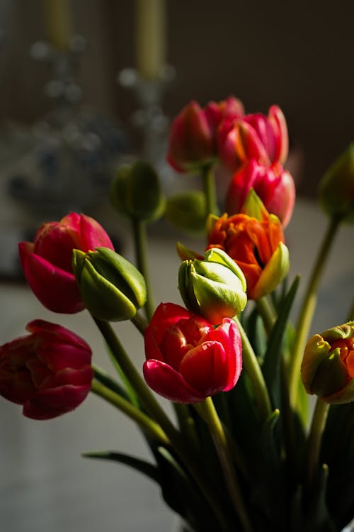 A vase of tulips in a room with a table
