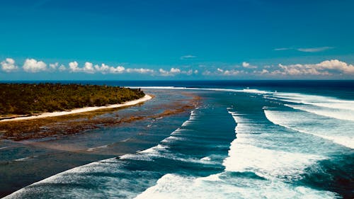 Vista De Pájaro Del Océano Durante El Día