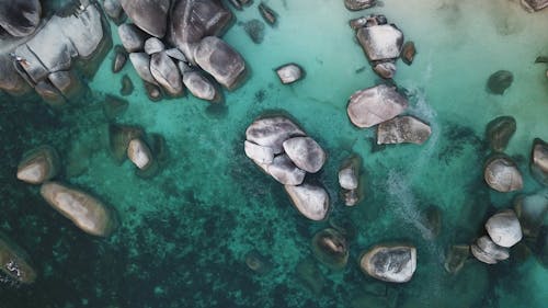 Top View Photo of Rocky Shore