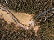 这张令人惊叹的鸟瞰图拍摄于罗马尼亚布杜雷萨，展现了茂密的常绿森林和蜿蜒的溪流