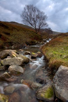 山溪田园诗般流淌在多云的天空下，溪边有岩石和树木