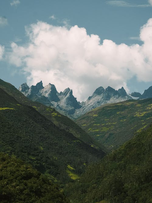 Gratis stockfoto met berg, boom, buiten