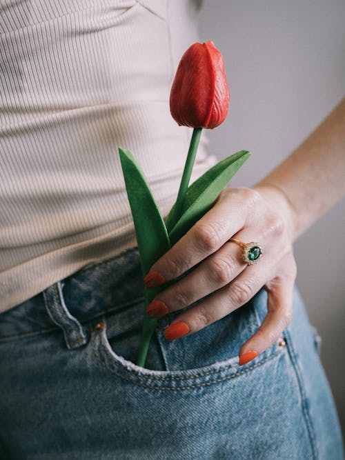 Close-up of Woman Holding a Tulip in Her Pocket 