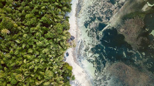 Aerial Photography of Beach and Island