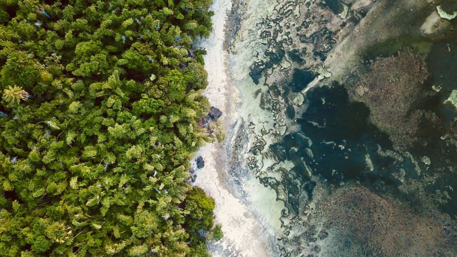 Luftaufnahme grüne Küste und Sandbank in Karimunjawa, Javasee