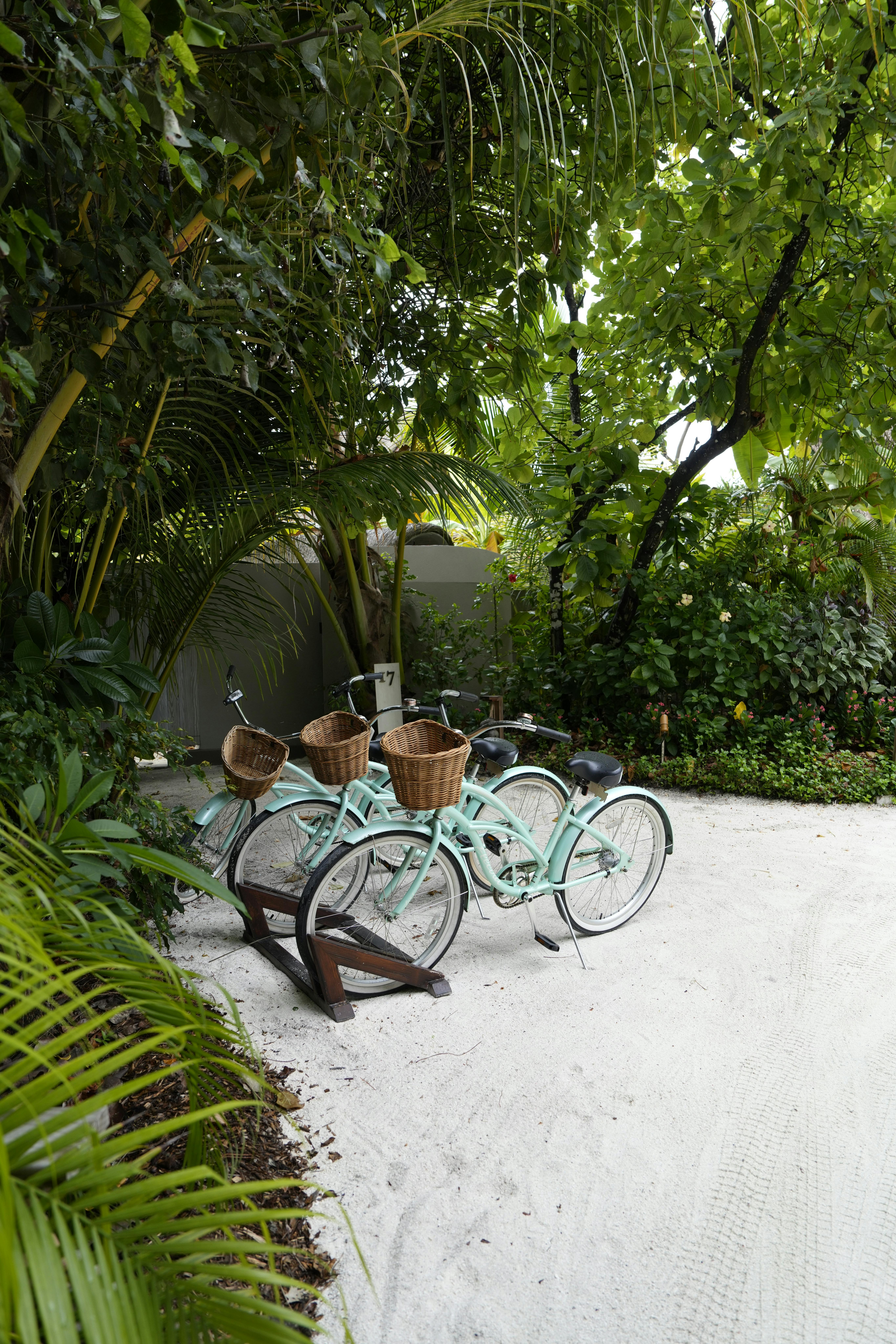 Two bicycles with baskets on a sandy path near lush tropical greenery.