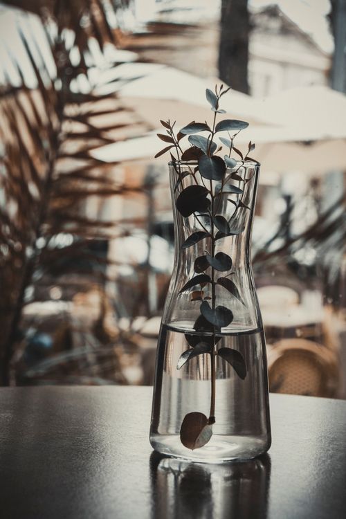 Free Stylish glass vase with eucalyptus branches on a reflective table indoors. Stock Photo