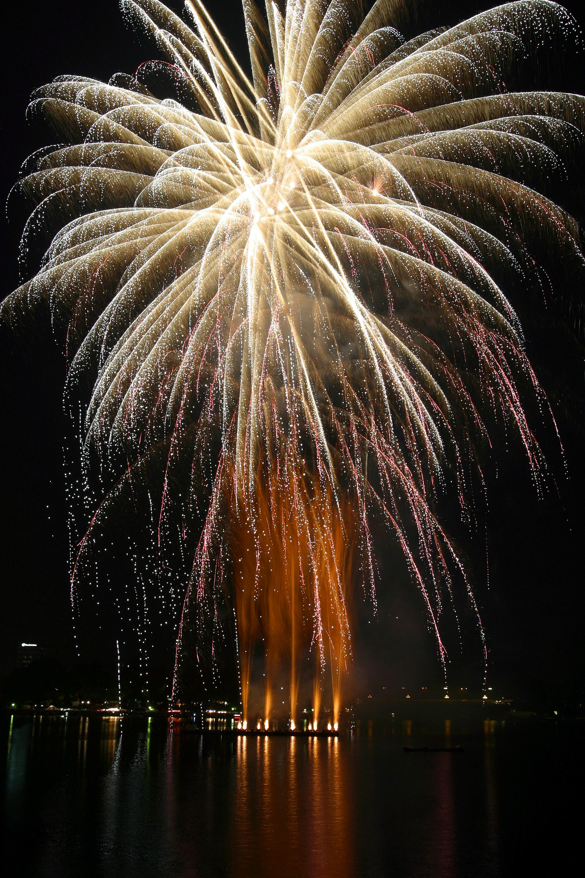 Free stock photo of firework