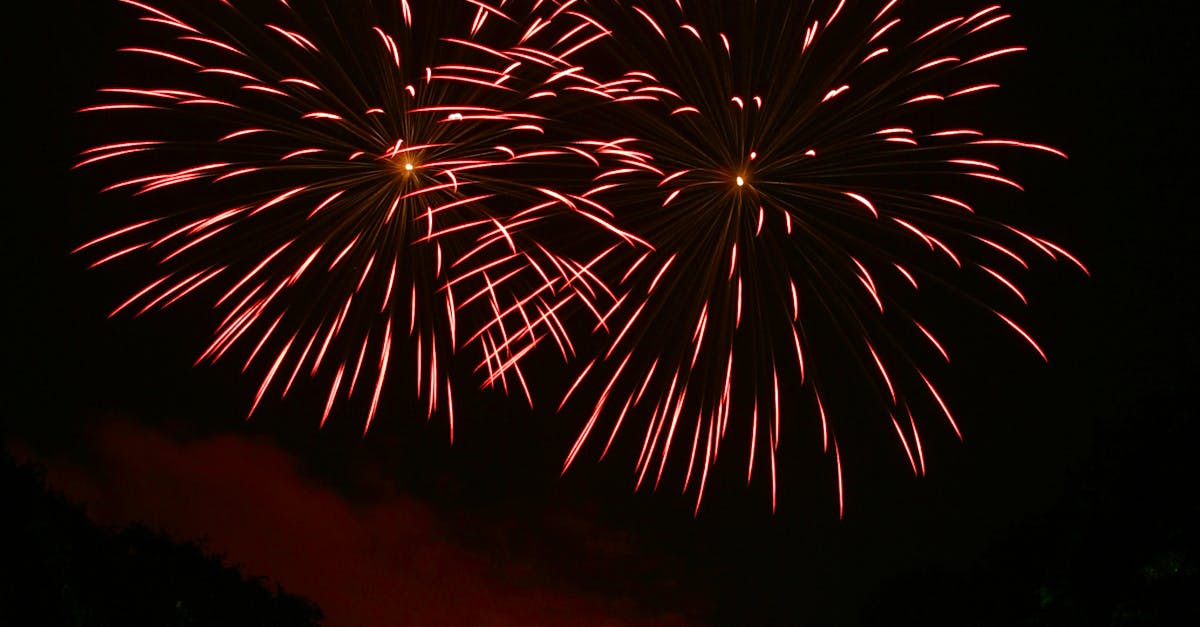 Photo by Sam Fire Vibrant fireworks illuminate the night sky over a reflective water surface, creating a festive atmosphere.