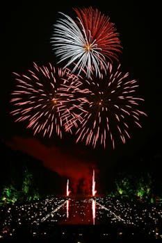 夜空中，充满活力的烟花照亮了反光的水面，营造出节日气氛