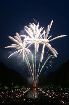 夜空中，充满活力的烟花表演照亮了一大群人，营造出节日的气氛