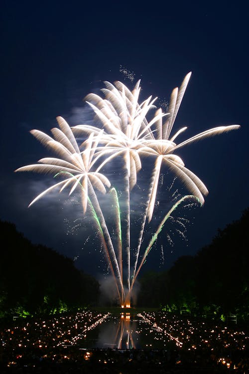 Fireworks Display during Nighttime