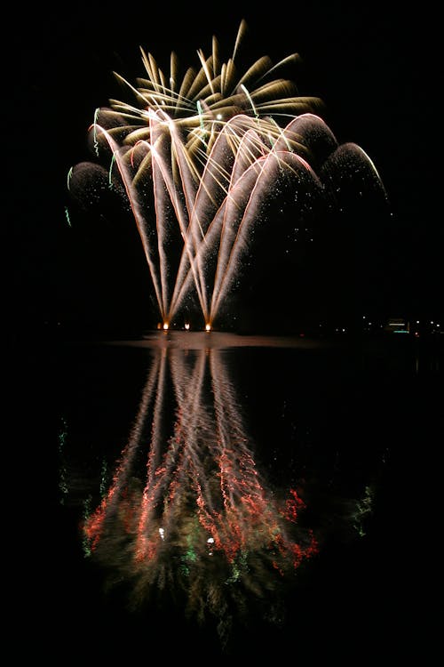 Free stock photo of firework Stock Photo