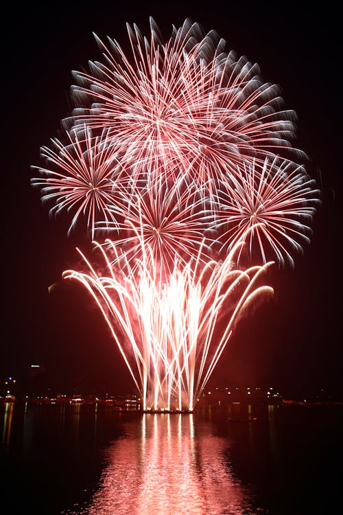Free stock photo of firework