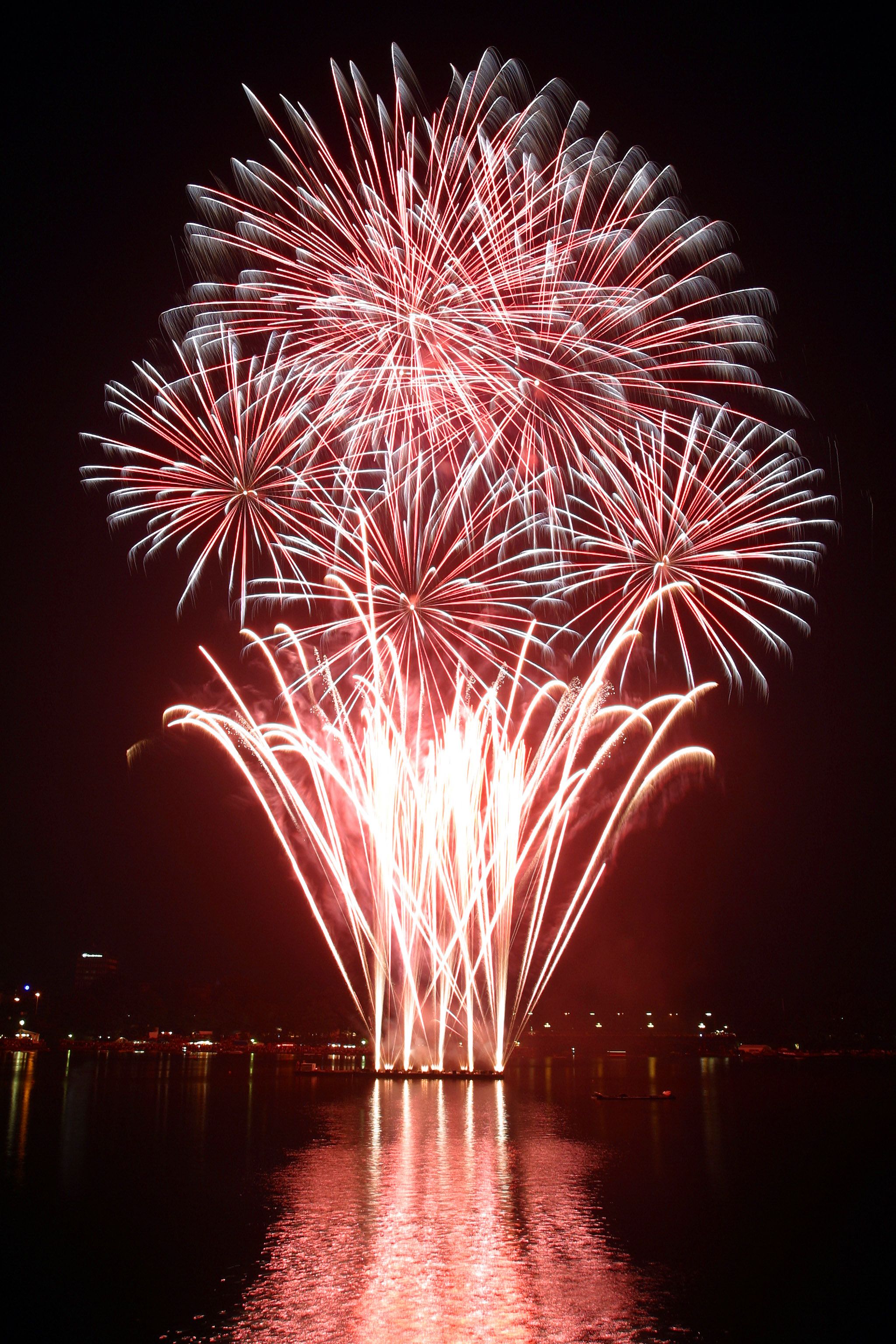 Kostenloses Foto Zum Thema Feuerwerk kostenloses-foto-zum-thema-feuerwerk