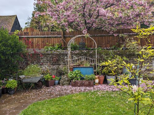 Free Country Garden Stock Photo